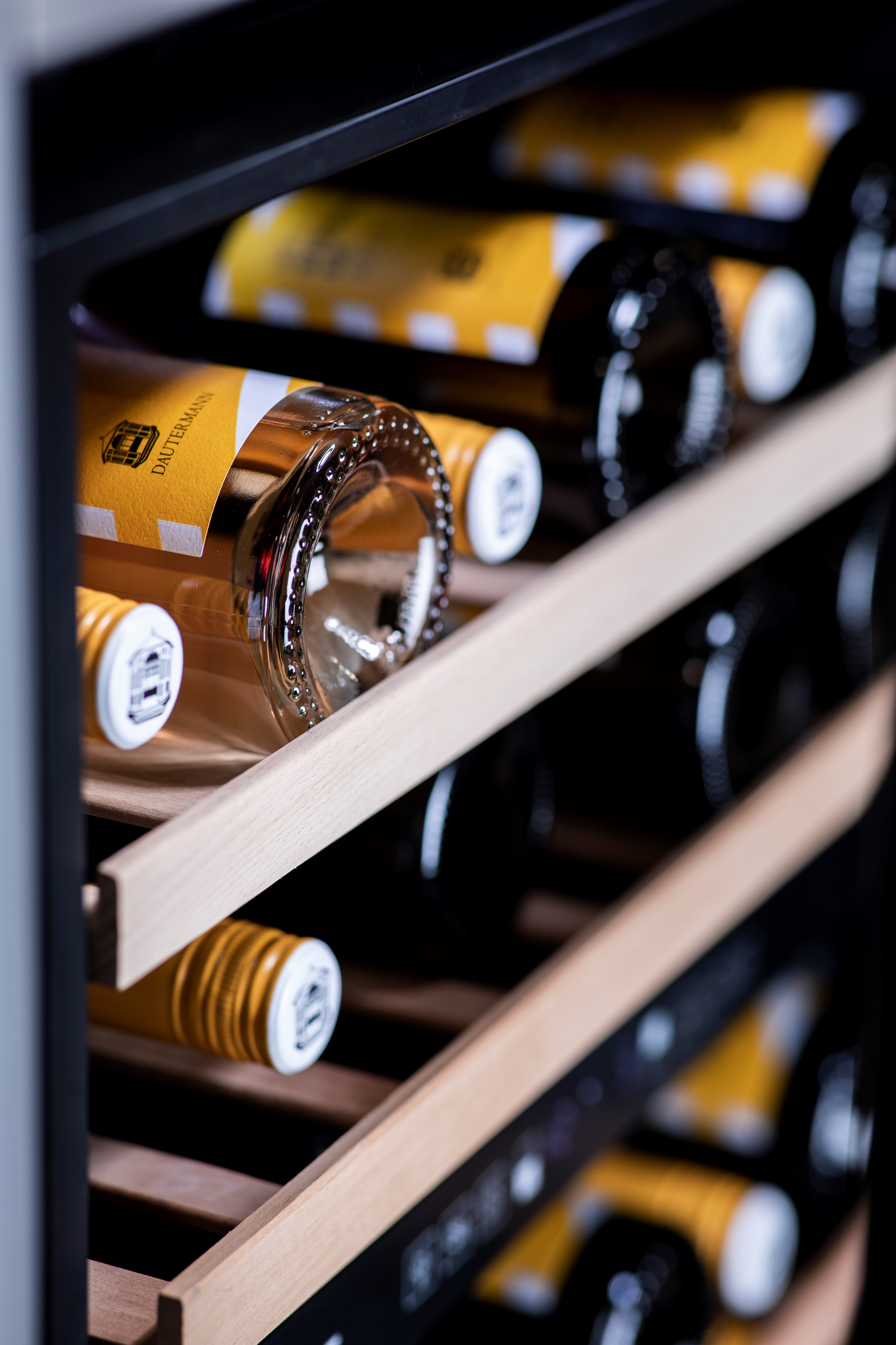Blick in einen Weinkühlschrank mit mehreren Flaschen in den oberen zwei Fächern